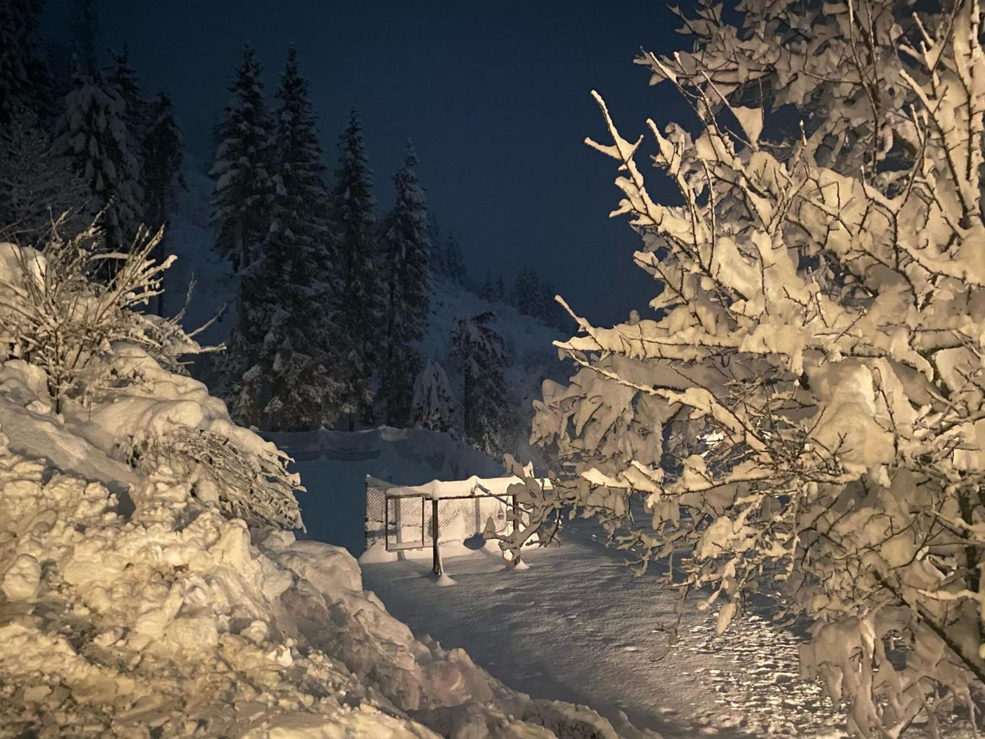 Apartmán Almen-Kraeuter-Oberreiter Dellach im Drautal Exteriér fotografie