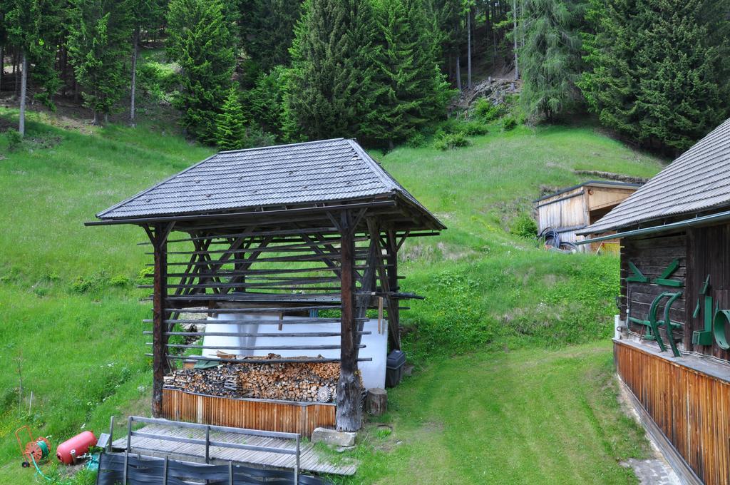 Apartmán Almen-Kraeuter-Oberreiter Dellach im Drautal Exteriér fotografie