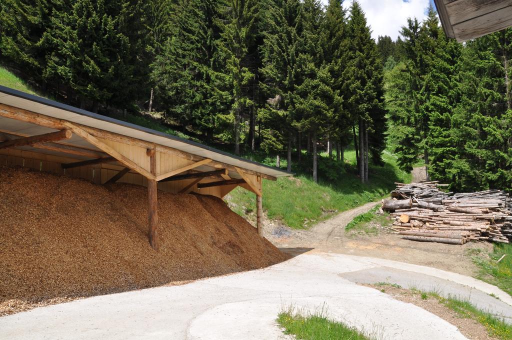 Apartmán Almen-Kraeuter-Oberreiter Dellach im Drautal Exteriér fotografie