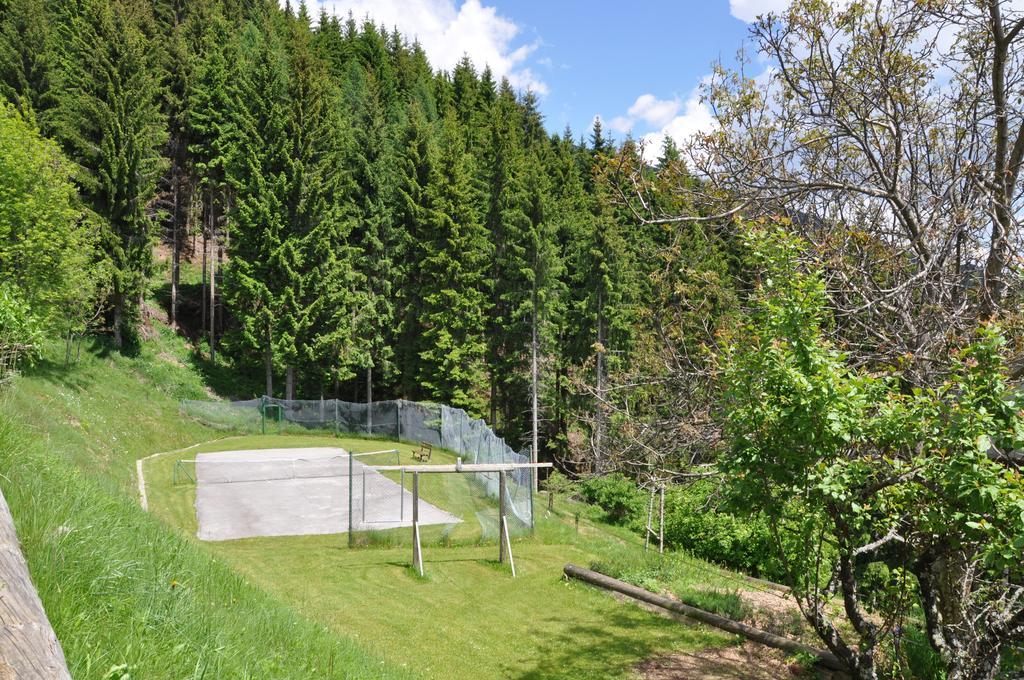 Apartmán Almen-Kraeuter-Oberreiter Dellach im Drautal Exteriér fotografie